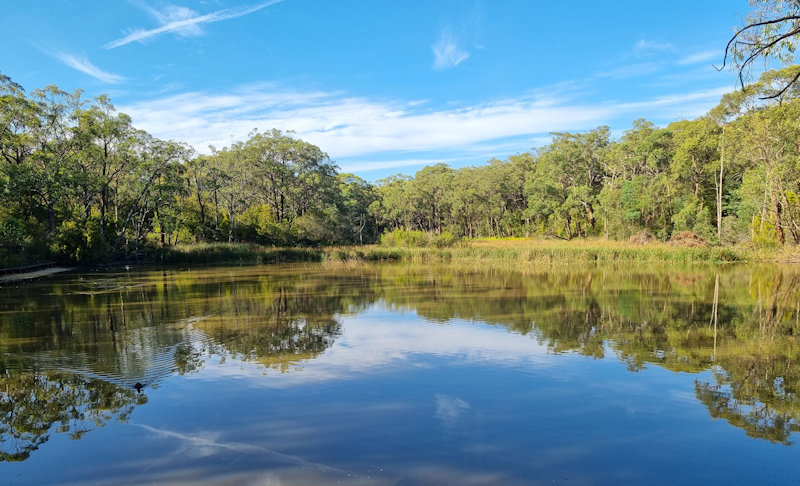 Edward Hunter Heritage Bush Reserve Moe Victoria
