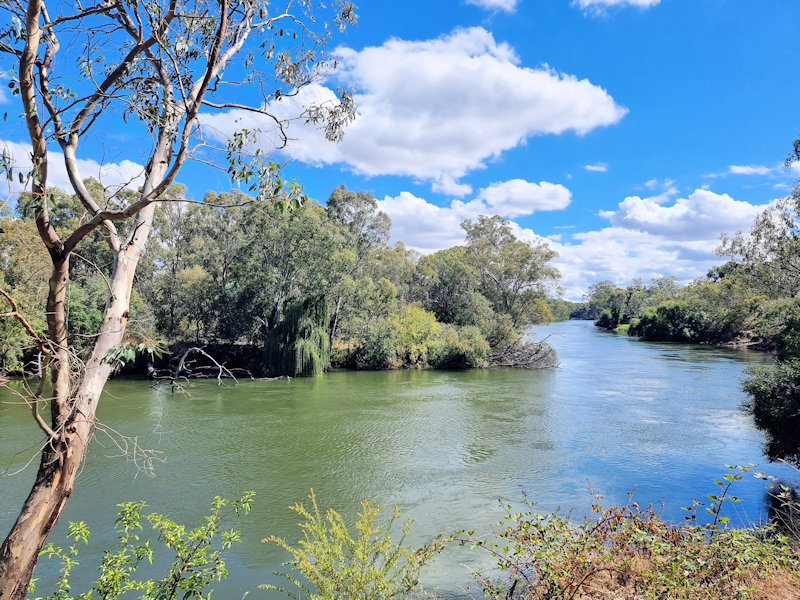 The Murray River Yindyamarra Sculpture Walk Albury