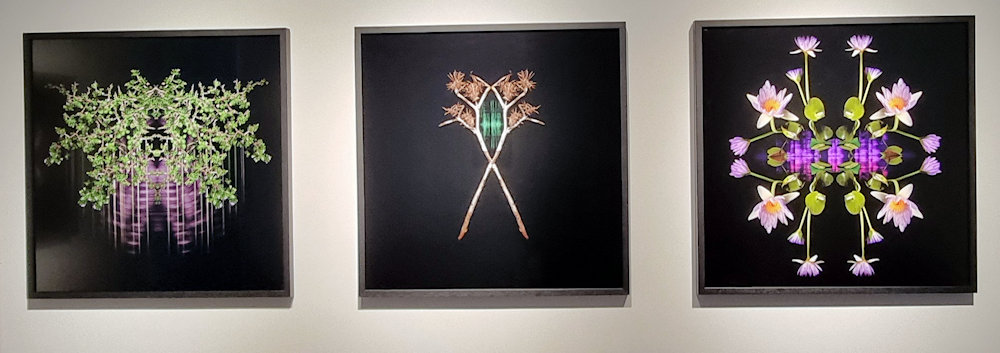 Cara-Ann Simpson paintings Singleton Arts and Cultural Centre August 2025