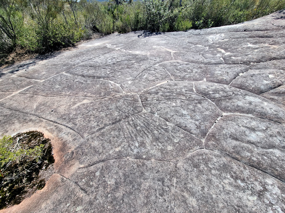 Elvina Aboriginal Engraving Site