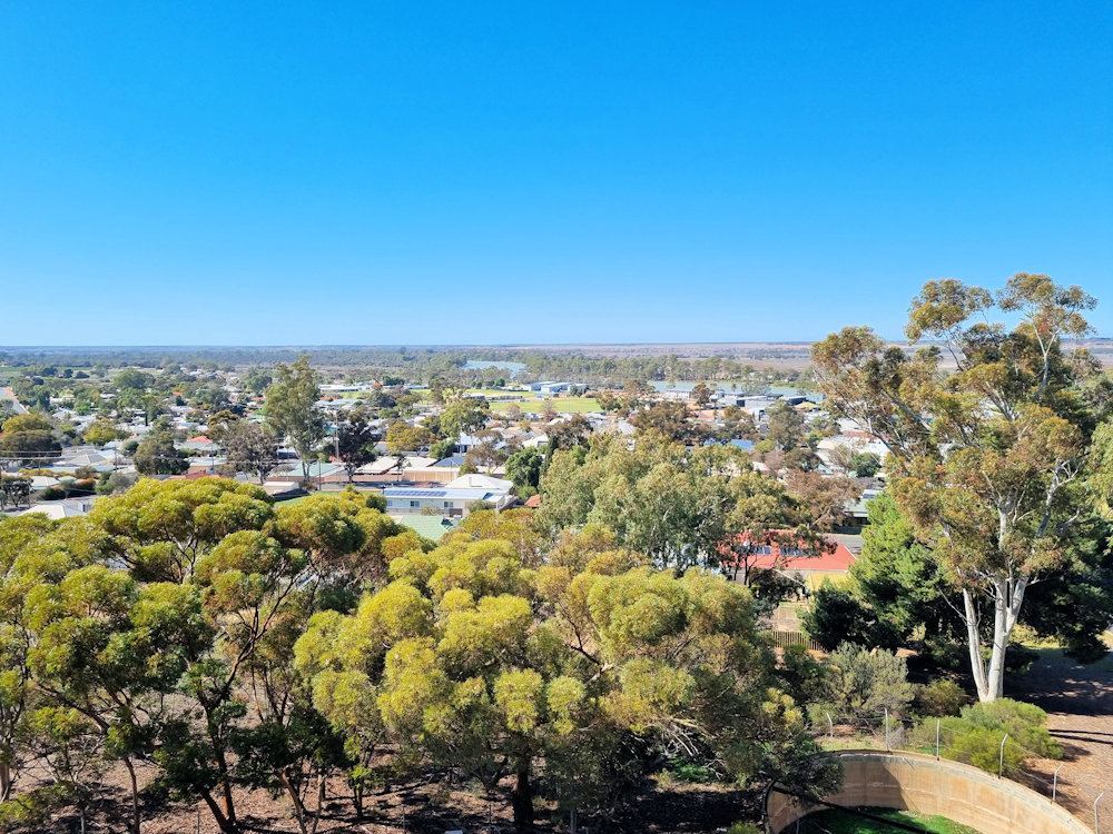 View from the lookout tower