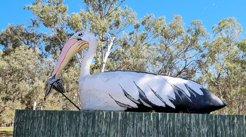 The Big Pelican Loxton South Australia