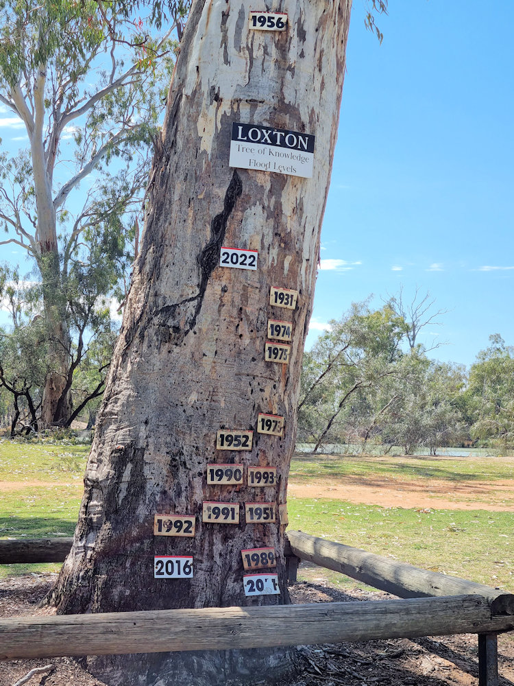 Tree of Knowledge Loxton South Australia