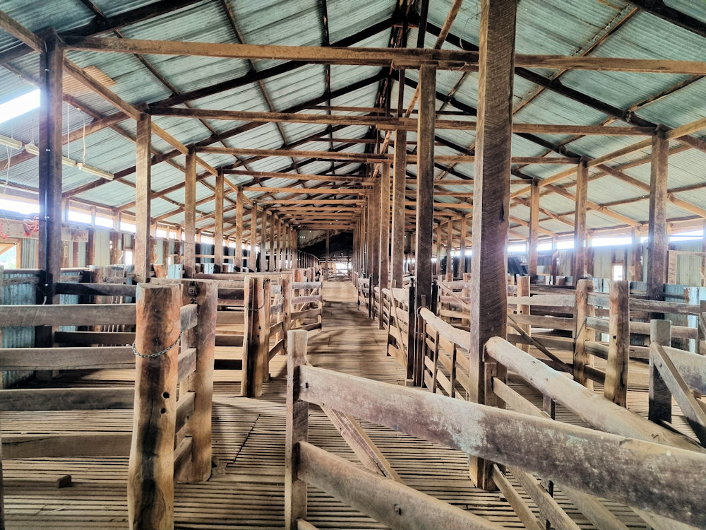 Sheep pens inside the shed Yanga Woolshed Balranald