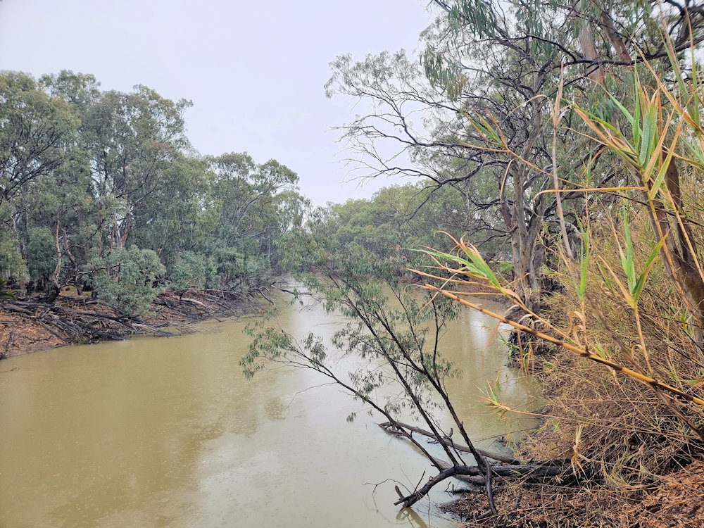 The Murrumbidgee River
