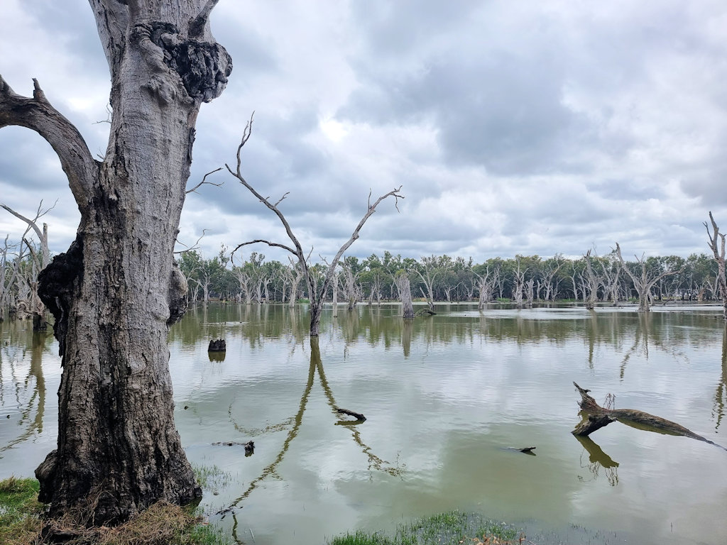 Wildlife Refuge Forbes