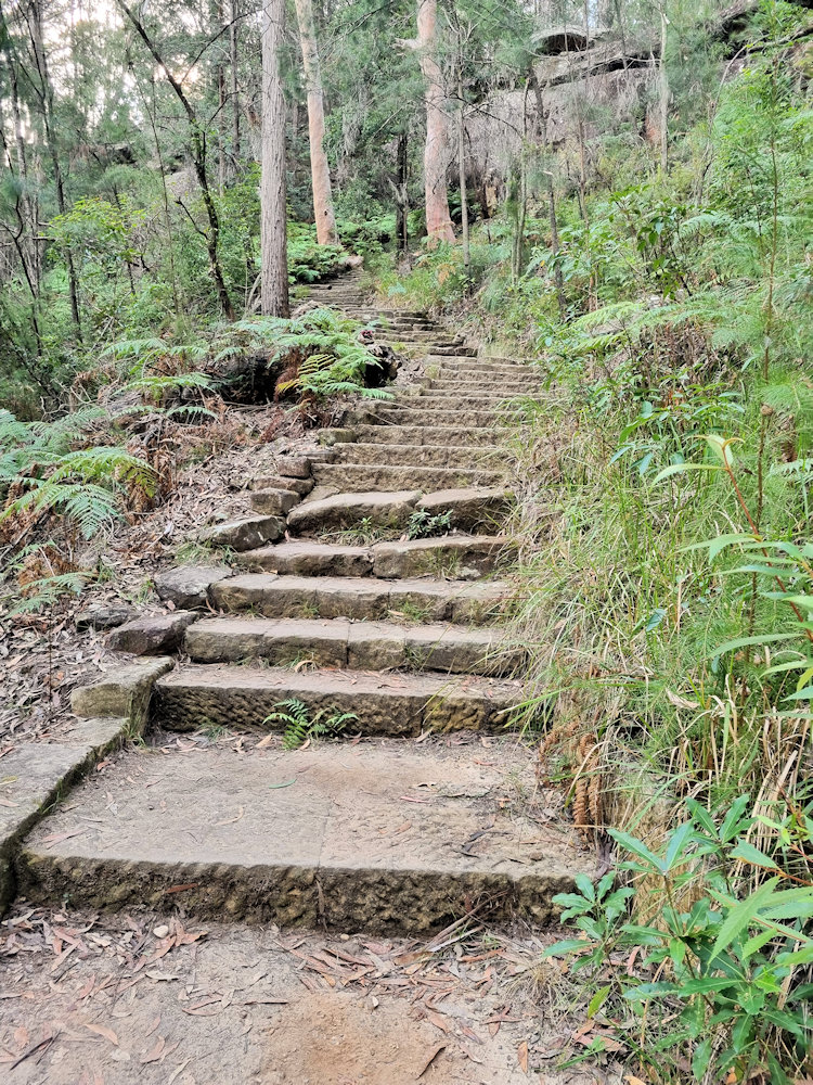 Going up the Hornsby Heritage Steps