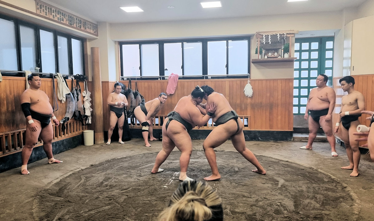 Sumo Wrestling Practise at the Shikoroyama Stable