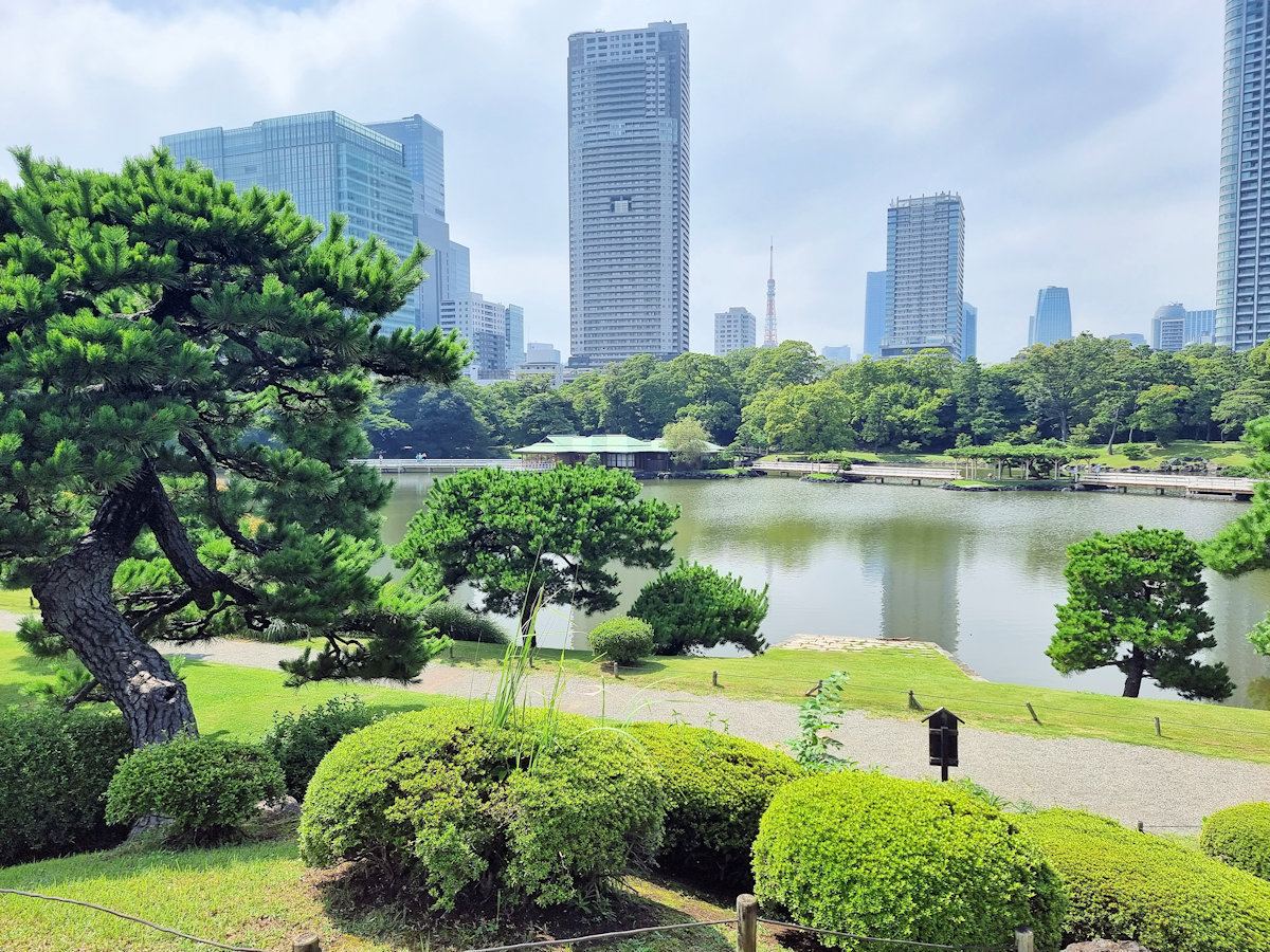 Shioiri-no-ike tidal pond at Hama-rikyu Gardens, framed by traditional landscaping and Tokyo’s modern skyline.